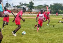 Match de Gala Renforce Lien Entre 33 Export et Consommateurs Match de Gala Renforce Lien Entre 33 Export et Consommateurs