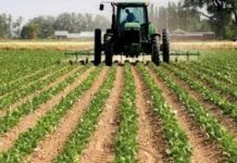 CEMAC: Statistiques Fiables Pour Politiques Agricoles CEMAC: Statistiques Fiables Pour Politiques Agricoles