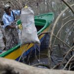 Bilan Alarmant Des Mangroves De Libreville Par La Liane Bilan Alarmant Des Mangroves De Libreville Par La Liane