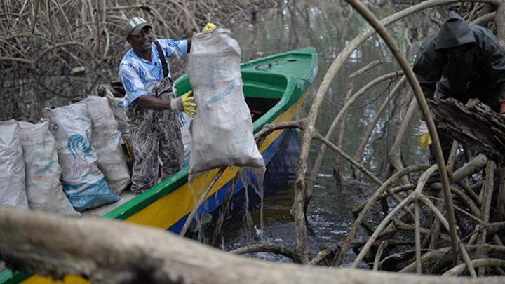 Bilan Alarmant Des Mangroves De Libreville Par La Liane Bilan Alarmant Des Mangroves De Libreville Par La Liane