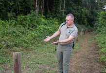 L’amour de Lee White pour les éléphants au Gabon L'amour de Lee White pour les éléphants au Gabon