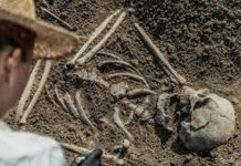 Génétique Des Villageois Médiévaux D’Angleterre D’Afrique Génétique Des Villageois Médiévaux D'Angleterre D'Afrique