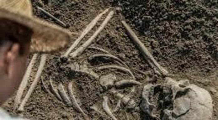 Génétique Des Villageois Médiévaux D’Angleterre D’Afrique Génétique Des Villageois Médiévaux D'Angleterre D'Afrique