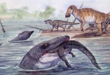 Le Ravin De L’Enfer Et Les Mosasaures Chasseurs Le Ravin De L'Enfer Et Les Mosasaures Chasseurs