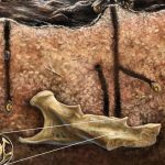 Abeilles Nichant Dans Des Fossiles Comportement Inédit Abeilles Nichant Dans Des Fossiles Comportement Inédit