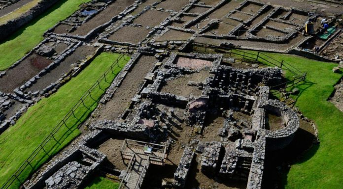 Parasites Envahissent Les Soldats Romains À Vindolanda Parasites Envahissent Les Soldats Romains À Vindolanda