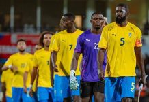 Panthères du Gabon: Lacunes et Opportunités 2025 Panthères du Gabon: Lacunes et Opportunités 2025