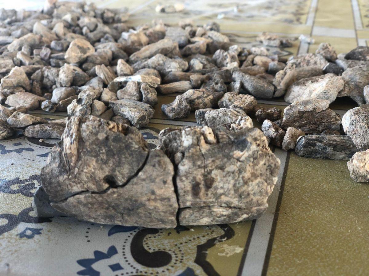 Découverte Révolutionnaire Sur Les Paranthropes Disparus Découverte Révolutionnaire Sur Les Paranthropes Disparus