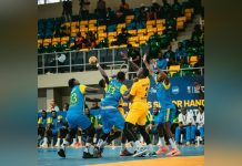 Match Décisif Pour Les Panthères Contre Angola Match Décisif Pour Les Panthères Contre Angola