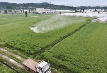 Produits Chimiques et Perturbation du Microbiote Intestinal Produits Chimiques et Perturbation du Microbiote Intestinal