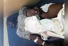 Duel Sanglant Entre Buffle et Chasseurs à Franceville Duel Sanglant Entre Buffle et Chasseurs à Franceville