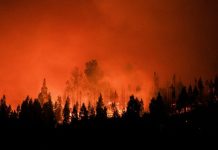 Malédiction de la Patagonie: Feux de forêt en Argentine Malédiction de la Patagonie: Feux de forêt en Argentine