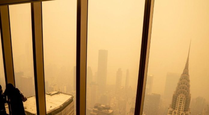 Fumée des Feux de Forêt Tue Plus de 24.000 Américains Fumée des Feux de Forêt Tue Plus de 24.000 Américains