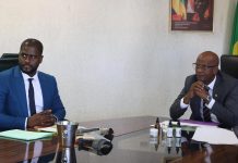 Okoumé: Gabon Transforme Bois en Filière Biotechnologique Okoumé: Gabon Transforme Bois en Filière Biotechnologique