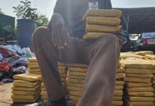 Démantèlement d’une Filière Internationale de Chanvre Démantèlement d'une Filière Internationale de Chanvre