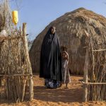 Kala-Azar: Maladie Mortelle des Zones Arides Kala-Azar: Maladie Mortelle des Zones Arides