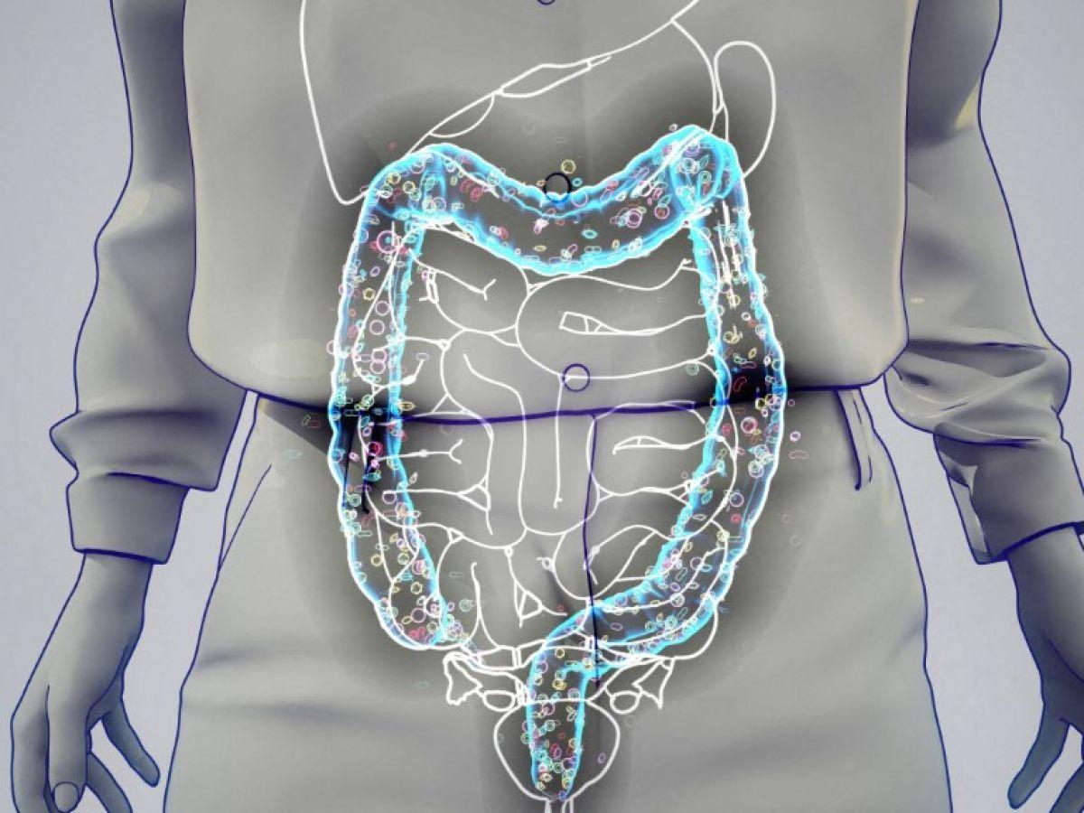 Fréquence Étonnante Des Pétitions Quotidiennes Fréquence Étonnante Des Pétitions Quotidiennes