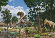 Au Jurassique, les bébés sauropodes servaient de proies Au Jurassique, les bébés sauropodes servaient de proies