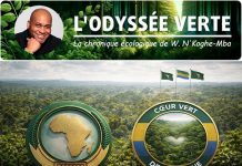 D’Addis-Abeba à la Canopée: Le Cœur Vert et la Paix D’Addis-Abeba à la Canopée: Le Cœur Vert et la Paix