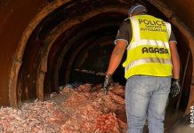 Saisie et Destruction de 25 Tonnes d’Ailes de Poulet Saisie et Destruction de 25 Tonnes d'Ailes de Poulet