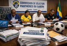 Panthères Du 430 Candidatures Examinées En Cours Panthères Du 430 Candidatures Examinées En Cours