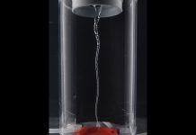 L’art de faire vibrer les tourbillons L’art de faire vibrer les tourbillons