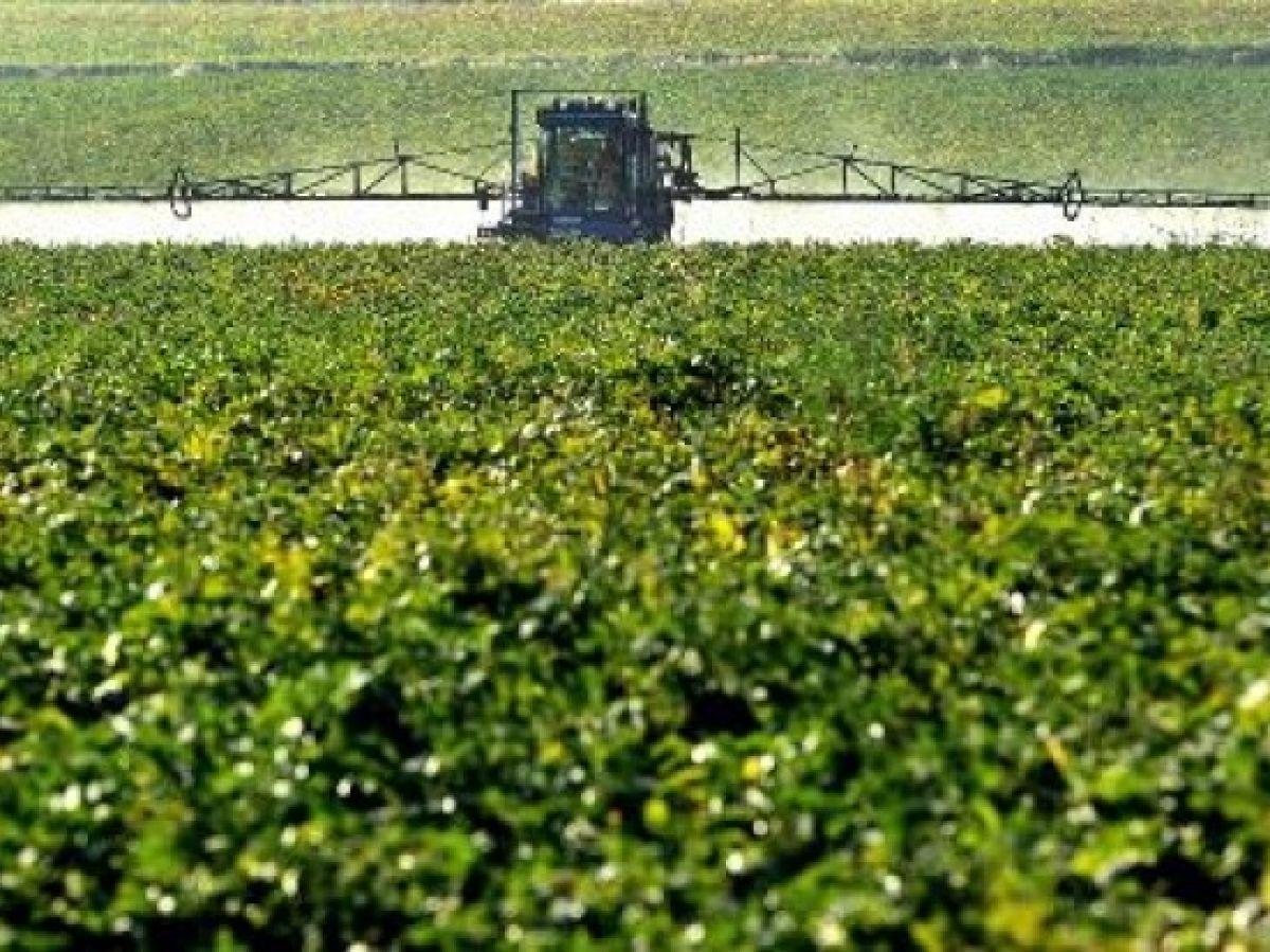 Loi Duplomb et Risques des Néonicotinoïdes Loi Duplomb et Risques des Néonicotinoïdes