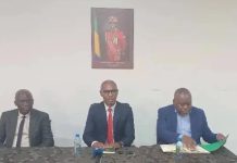 Saison 2025-2026: le Championnat de D1 et D2 Confirmé Saison 2025-2026: le Championnat de D1 et D2 Confirmé