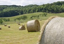 Alimentation Comme Arme de Guerre, Alerte du Commissaire Alimentation Comme Arme de Guerre, Alerte du Commissaire
