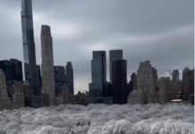 Tempête de la Décennie: Blizzard dans le Nord-Est US Tempête de la Décennie: Blizzard dans le Nord-Est US