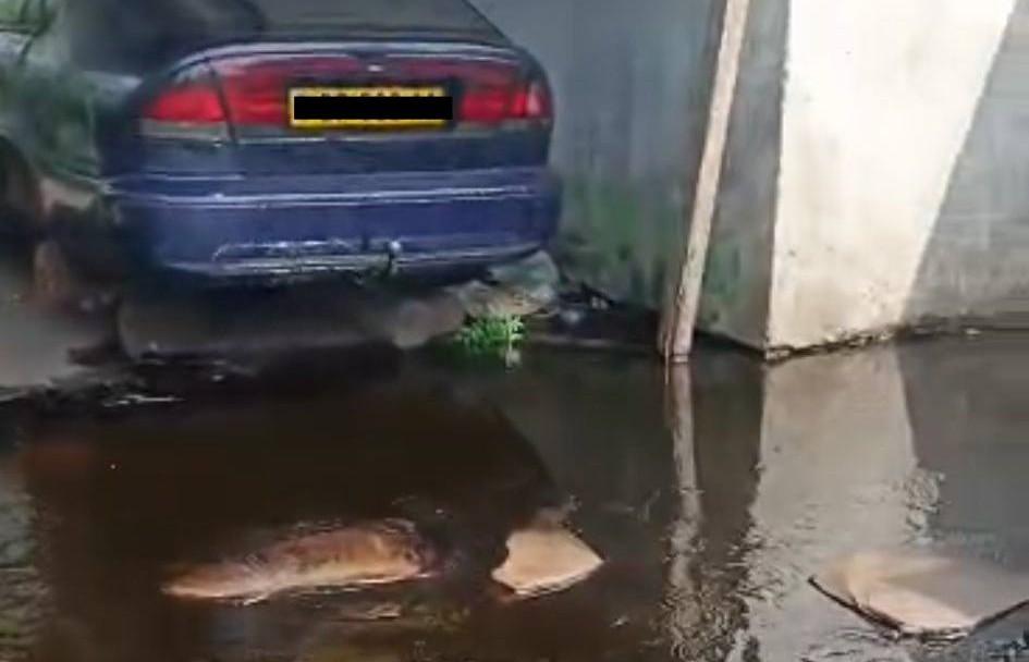 Évacuation de familles à Port-Gentil après fuite d'hydrocarbures Évacuation de familles à Port-Gentil après fuite d'hydrocarbures