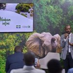 Gabon Infini: Miroirs aux Alouettes Gabon Infini: Miroirs aux Alouettes