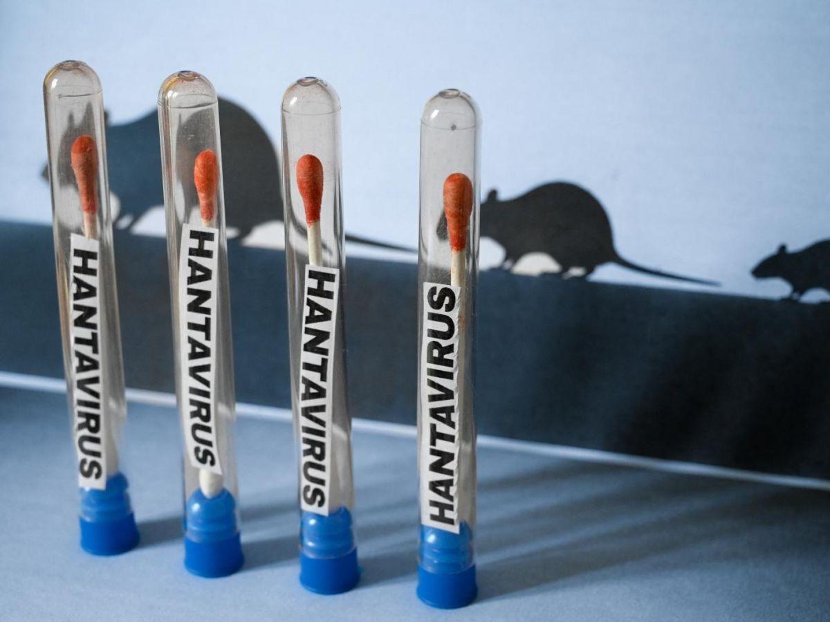 Hantavirus Sur Bateau: Passager Infecté Transmissible Hantavirus Sur Bateau: Passager Infecté Transmissible