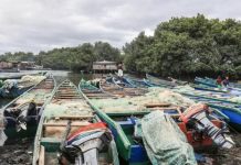 Gabon Refuse de Prolonger Accord de Pêche Européen Gabon Refuse de Prolonger Accord de Pêche Européen