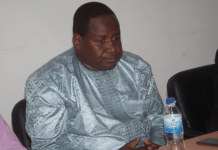 In The Diplomatic Passport Saga Arrests In Germany, Gambia