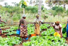 YEP, ASPA conclude annual buyer-seller meeting