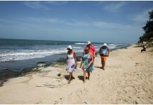 Gambia tries to fill Thomas Cook void