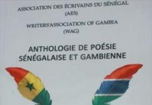 WAG lights up Dakar on Gambia Day