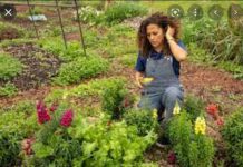 30 Reasons to Support Civil Eats on #GivingTuesday 2021 30 Reasons to Support Civil Eats on #GivingTuesday 2021