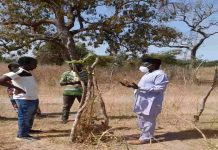 Beakanyang director calls for concerted efforts to mitigate climate change effects Beakanyang director calls for concerted efforts to mitigate climate change effects