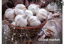 Garlic woes return after COVID-19 demand spike Garlic woes return after COVID-19 demand spike