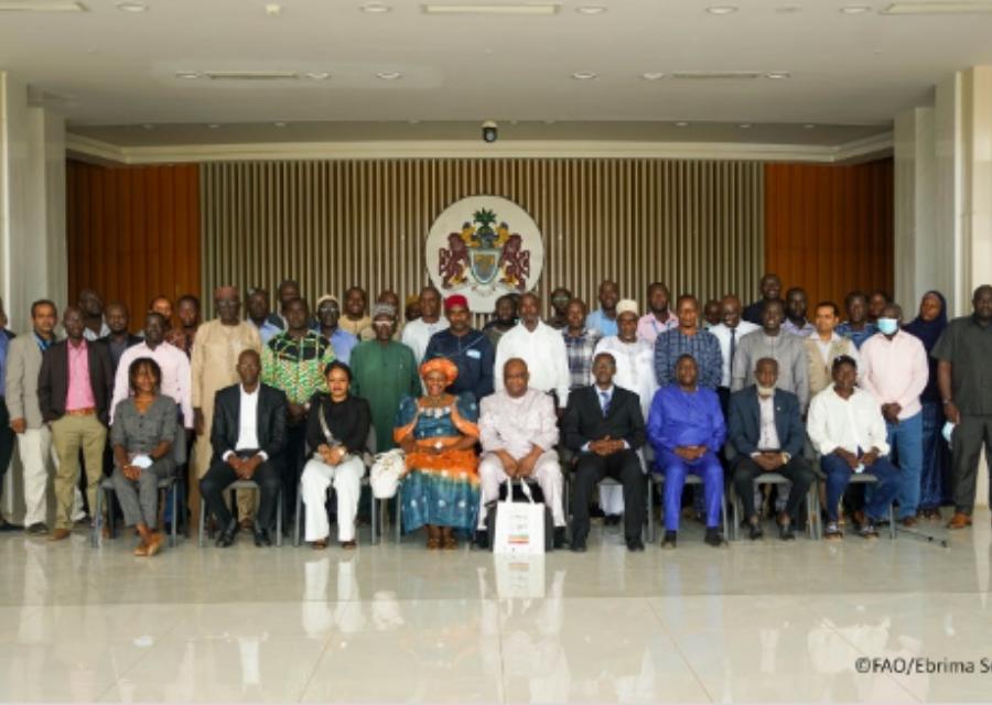 FAO, Partners Renew Commitment To Transform Agri-food Systems In Gambia ...