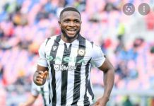 SUPER EAGLES Success and Udogie on target as Udinese come from behind in Serie A SUPER EAGLES Success and Udogie on target as Udinese come from behind in Serie A