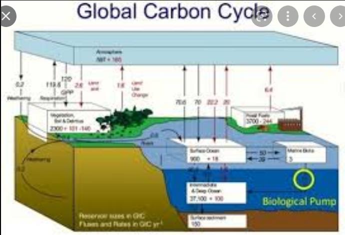 Monitoring global carbon emissions!