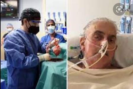 POX HORROR Two more diagnosed with Monkeypox in UK as doctors scramble to find Brits who had close-contact with couple POX HORROR Two more diagnosed with Monkeypox in UK as doctors scramble to find Brits who had close-contact with couple