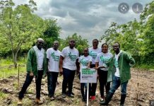 Staff Of Karpowership Ghana Plant 5000 Trees Staff Of Karpowership Ghana Plant 5000 Trees