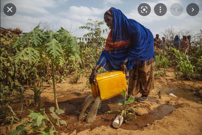 Rural urban drift affects farming in Gambia! - Gambia