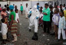 Disease outbreaks from African animals surge 60% in 10 years Disease outbreaks from African animals surge 60% in 10 years