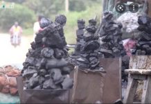 The Ban On Charcoal Production The Ban On Charcoal Production