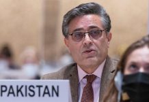 Political, economic interests trump pursuit of human rights: envoy Political, economic interests trump pursuit of human rights: envoy